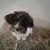 Ray Boynton - Facebook