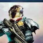 Ray Bradshaw - @falconsirrus - Instagram