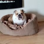 Ray Bragg - @bragg_ray - Instagram