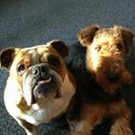 Ray Bragg - @ray.bragg - Instagram