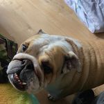 Ray Bragg - @raymondbragg68 - Instagram
