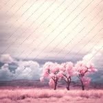 Heino Lampert - @raybrink481 - Instagram