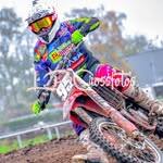 Ray - @raymondbrinkman - Instagram