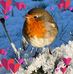 Ray Broome - Facebook