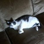 ray broome - @raybroome2 - Instagram