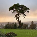 Ray Buckley - @ray.buckley.94801 - Instagram
