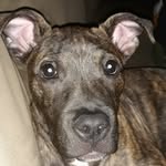 Kenneth ray Burch - @kennethrayburch - Instagram