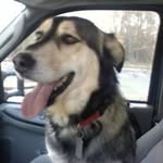 Ray Burcher - @rayburcher - Instagram