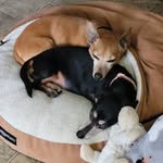Ray Burchett - @rayburchett - Instagram