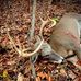 Ray Burks - Facebook