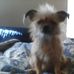 Ray Burney - Facebook