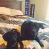 Rayne Bushnell - @rayne.bushnell - TikTok