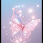 ray_ butterfly 2357  🦋🦋🦋 - @ray_butterfly_2357 - Instagram