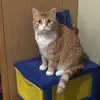 Ray Melton - @ray.butter - TikTok