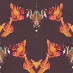 Ray Byrd - @byrd8545 - Instagram