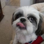 Ray Callahan - @raycallahan96 - Instagram