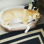 Ray Callahan - @rccola0071 - Instagram