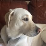 Ray Callahan - @applerose1225 - Instagram