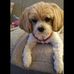 Ray Calvin - Facebook