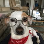 Ray Caprio - Facebook
