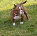 Ray Carrillo - Facebook