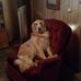 Ray Cavanaugh - Facebook