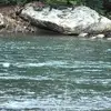 raywilliamcavanaugh - @raywilliamcavanaugh - TikTok