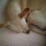 Ray Chamblee - @austismretard - Instagram