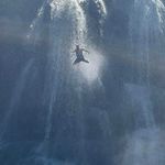 Ray Chandler - @raychandler9836 - Instagram