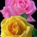 Ray Channe - Facebook