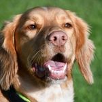 Ray Chapman - @bensbuddies19 - Instagram