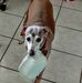 Ray Chauvin - Facebook
