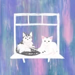 창가의 레이 체리 - @ray.cherry.cat - Instagram