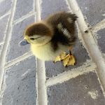 Rudy Childers - @rudy_ray_childers - Instagram
