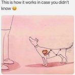 Ray Chel - Facebook