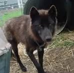 Raymond Christner - Facebook