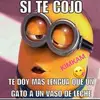 Ray Cintron - @ray.cintron - TikTok