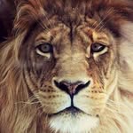Jonathon Wilson - @cisco.ray.94 - Instagram