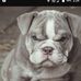 Ray Clanton - Facebook
