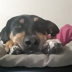 Ray clarkson - @raymondclarkson2222 - Instagram