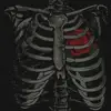 rayaneclemence - @rayaneclemence - TikTok