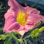 Ray Clifton Abel - @rabel1234 - Instagram