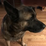 Ray coates - @rmcoates39426 - Instagram