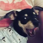 Oliver Ray Coble - @oliver_coble - Instagram