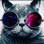 Compañía bolsas - @raycobosrosas - Instagram