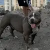 Gisela cabrera - @raycocabrera6 - TikTok