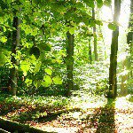 Ray - @raycockrell - Instagram