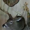 Michael Ray Coker - @michaelraycoker - TikTok