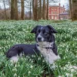 Ray Collister - @ray.collister - Instagram