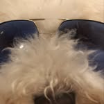 ray connolly - @djfluffennutter - Instagram